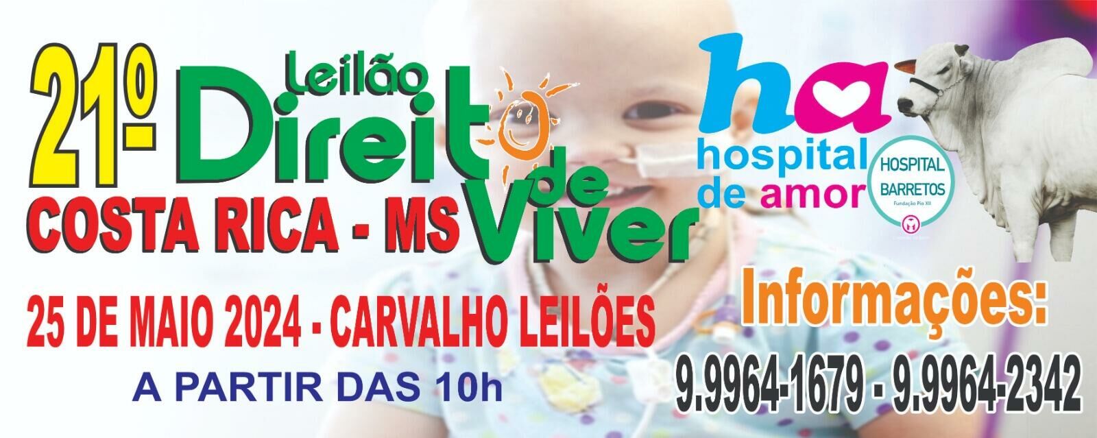 Imagem de compartilhamento para o artigo 21° Edição do Leilão Direito de Viver acontece em maio em Costa Rica da MS Todo dia